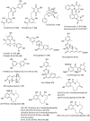 Figure 13