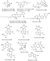 Figure 24
