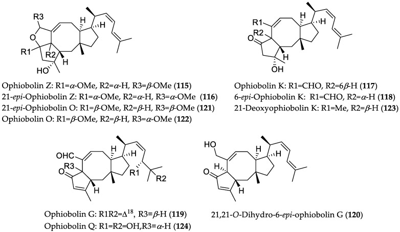 Figure 17