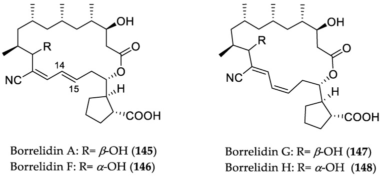 Figure 23