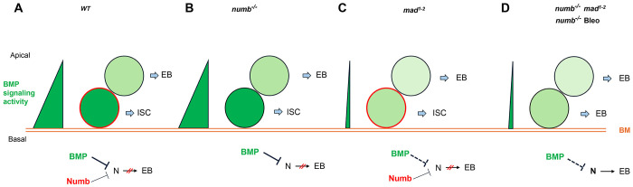 Figure 7.