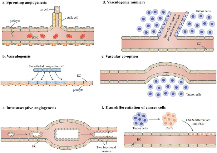 Figure 3