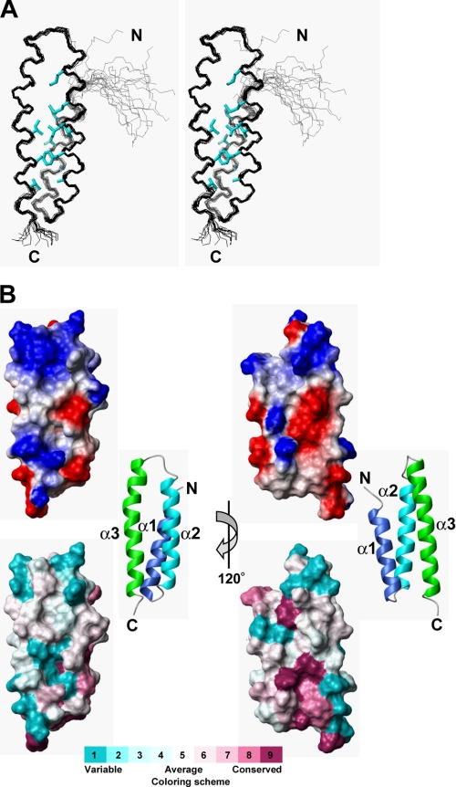 FIGURE 2.