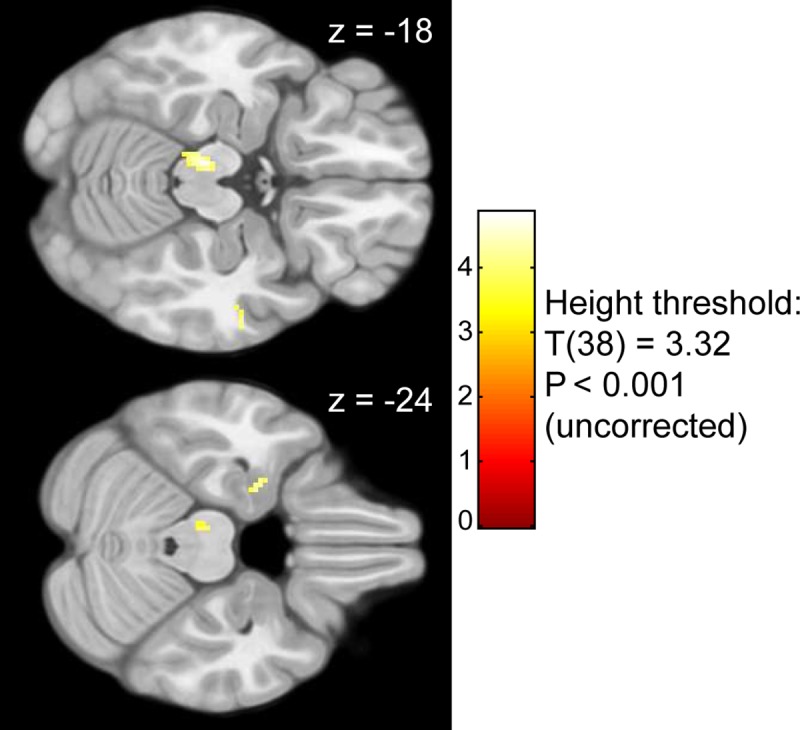 Fig 6