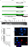 Fig 9