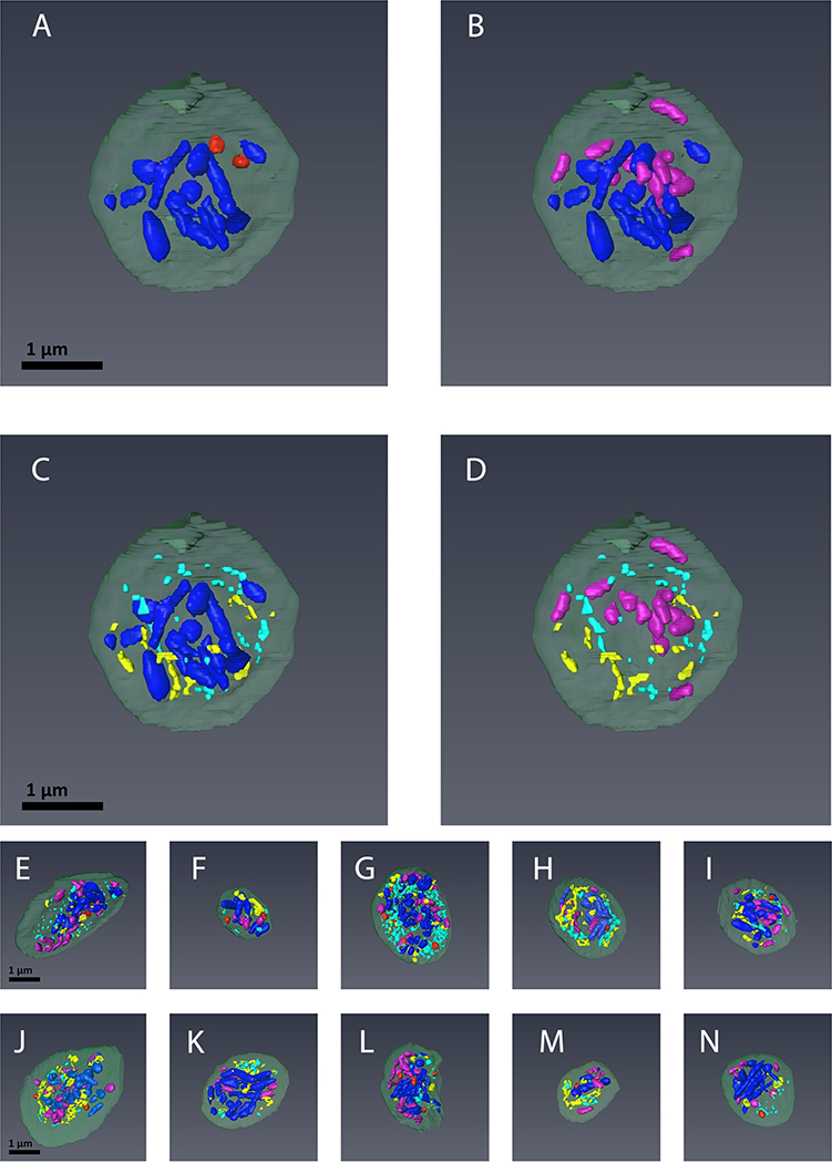 FIGURE 3.