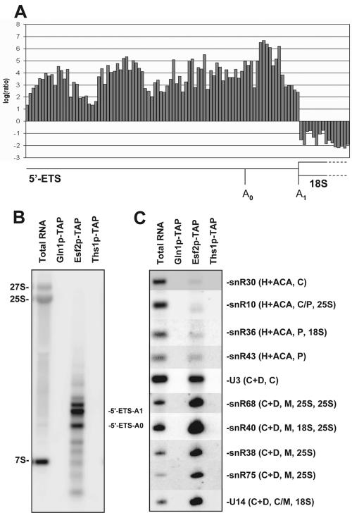 FIG. 4.