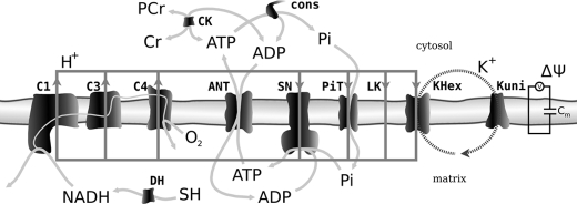 FIGURE 1.