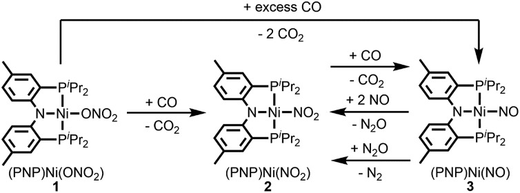 Scheme 1