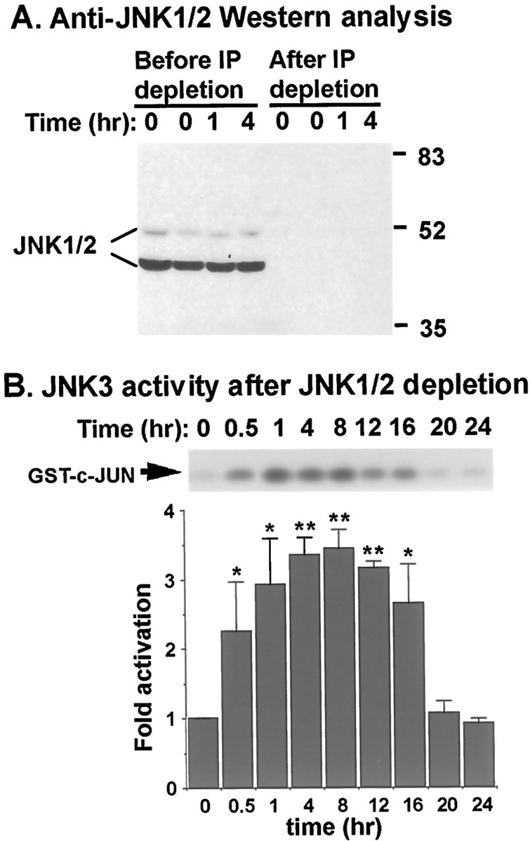 Fig. 9.