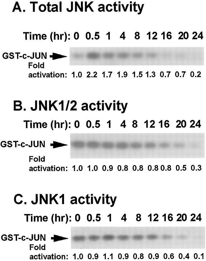 Fig. 8.