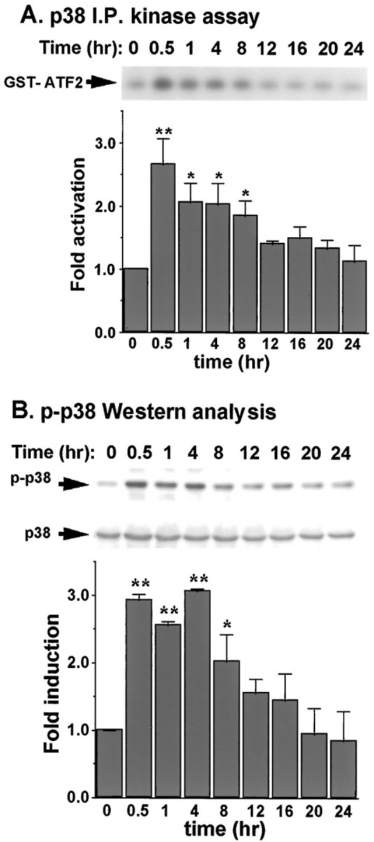 Fig. 5.