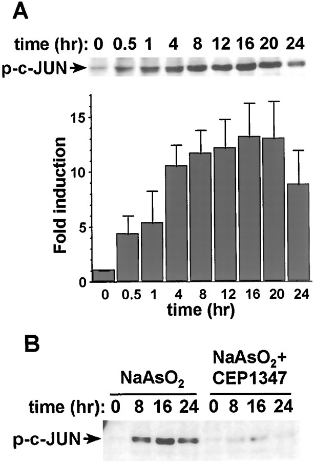 Fig. 10.