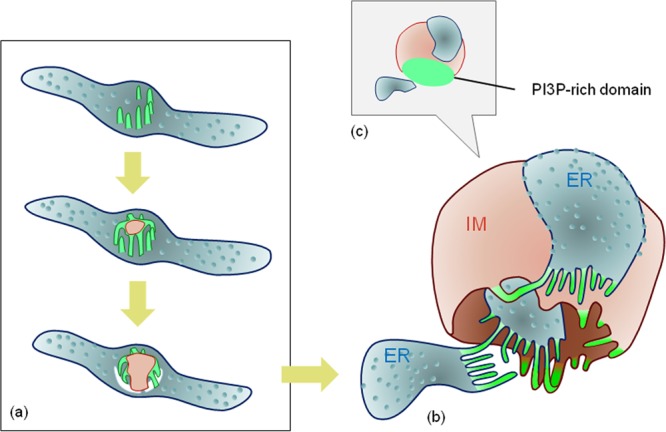 FIG 8