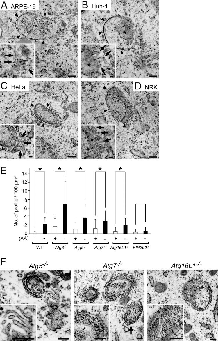 FIG 6