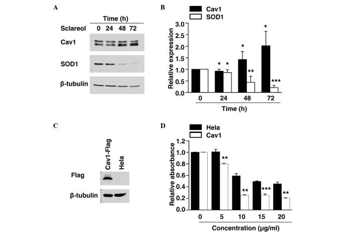 Figure 2.