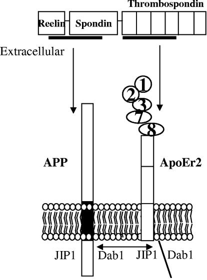 FIG. 8.