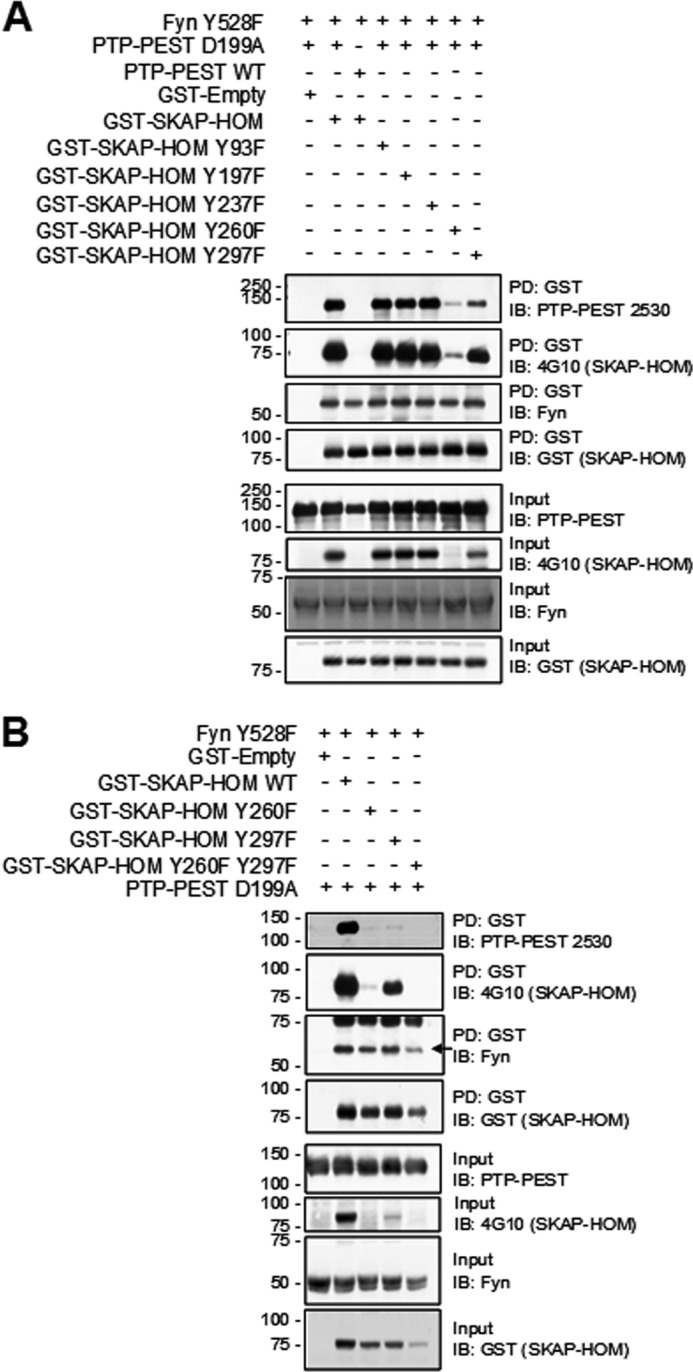 FIGURE 3.