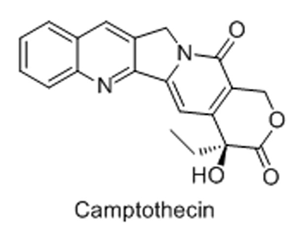 Scheme 3