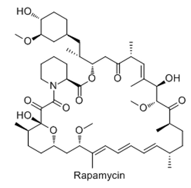 Scheme 23