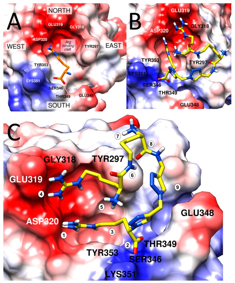 Figure 7