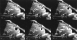 <sc>fig</sc> 3.