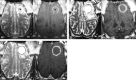 <sc>fig</sc> 6.