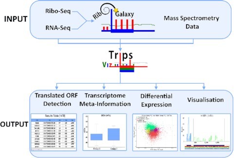 Graphical Abstract