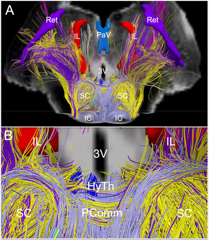 Fig. 7.