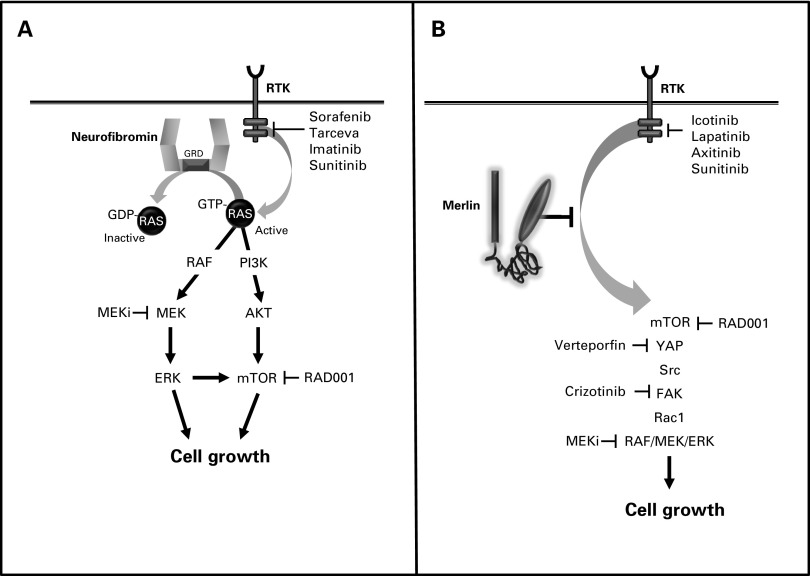 Fig 3.