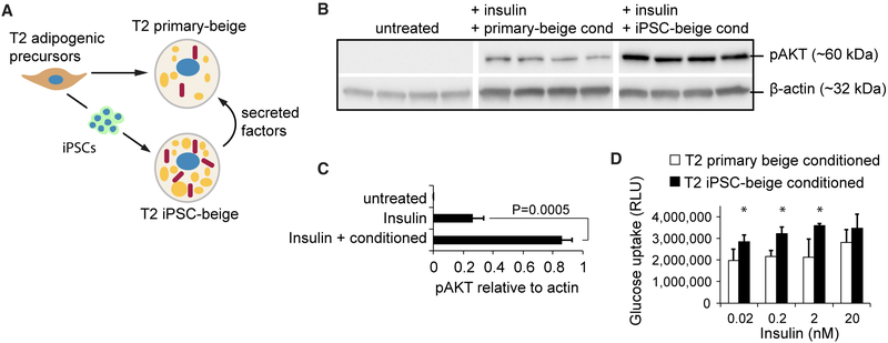 Figure 7.