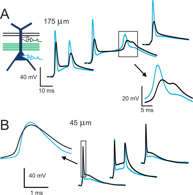 Figure 9.