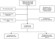 Figure 1. Flow chart of the present study cohort.