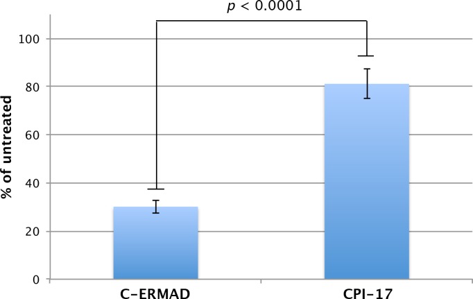 Figure 9—figure supplement 1.