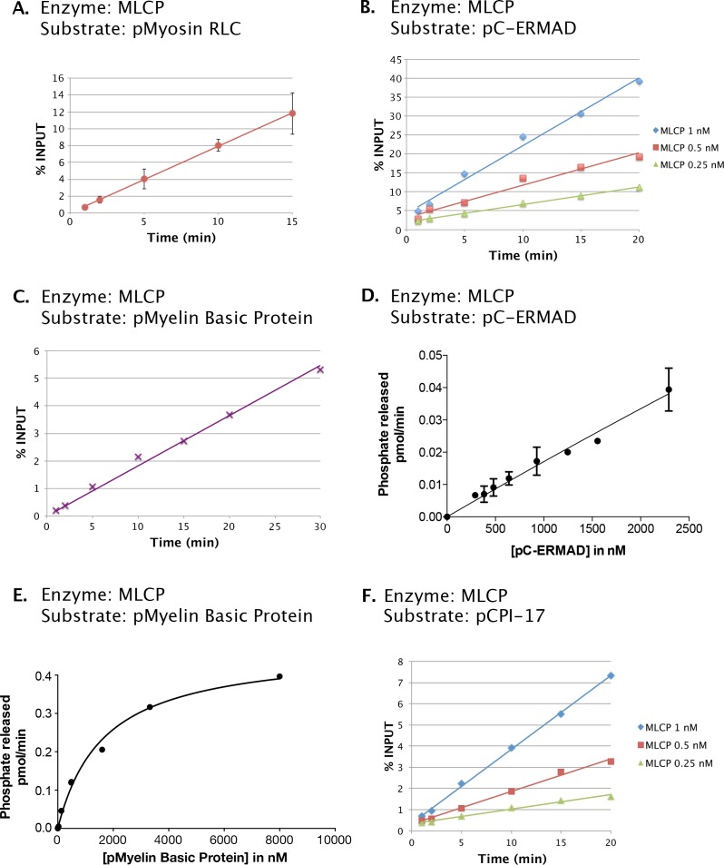 Figure 2—figure supplement 1.