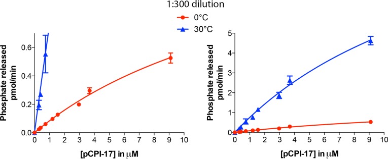 Figure 7—figure supplement 2.