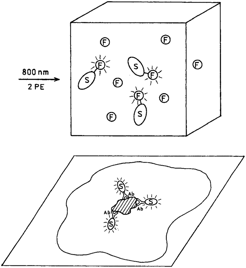 SCHEME 2: