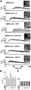 Figure 9.