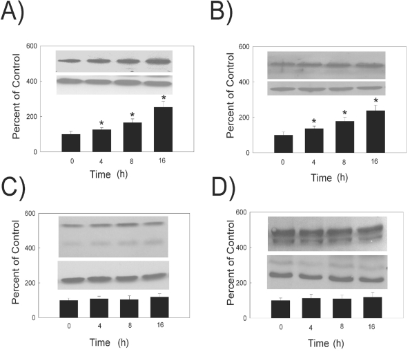 Fig. (3).