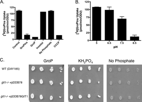 Fig. 6.