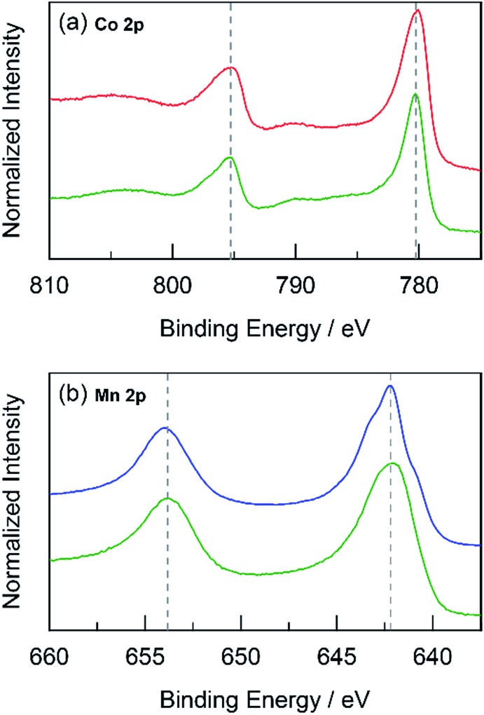 Fig. 10