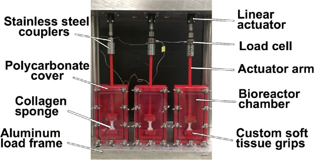 Fig. 2