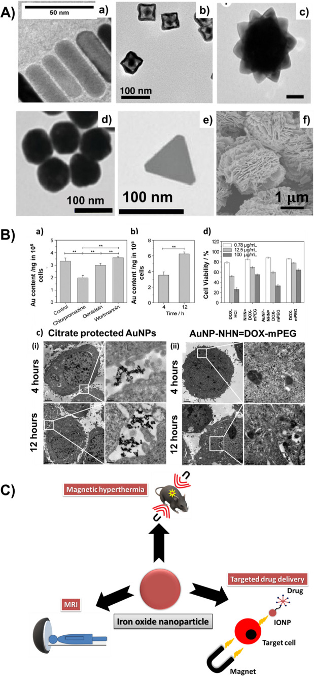 Fig. 1