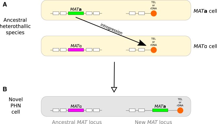 Figure 4