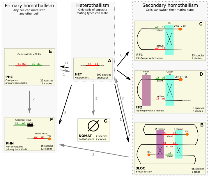 Figure 1