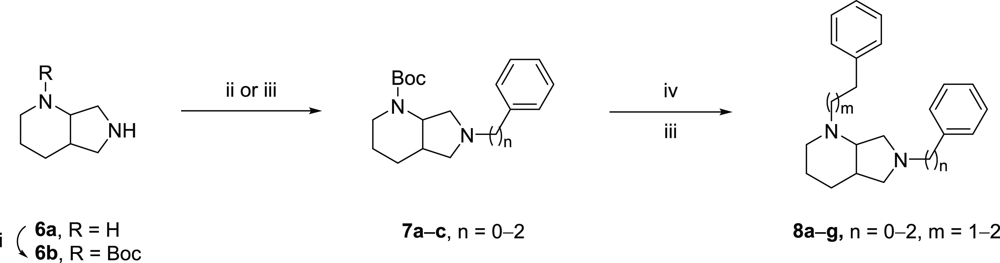 Scheme 2