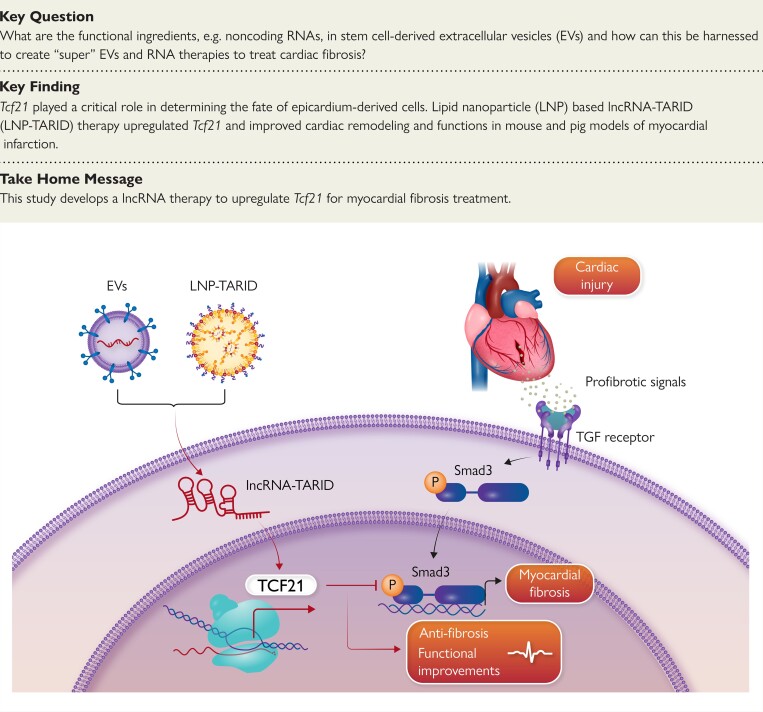 Structured Graphical Abstract