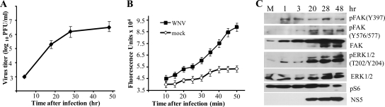 FIG. 4.