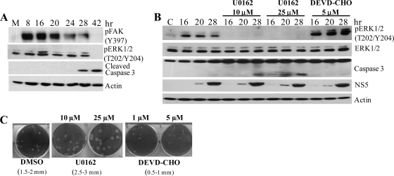 FIG. 7.