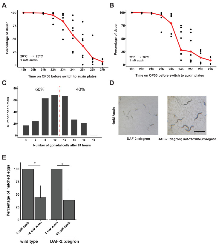 Figure 2—figure supplement 2.